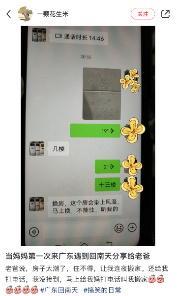 离谱程度刷新下限今年的回南天让南方人和猫都摔进骨科了