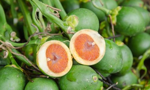 原创喜欢嚼槟榔的人身体怎么样了经历过的人或许会面临3大难题