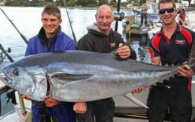 金枪鱼_日本_数量