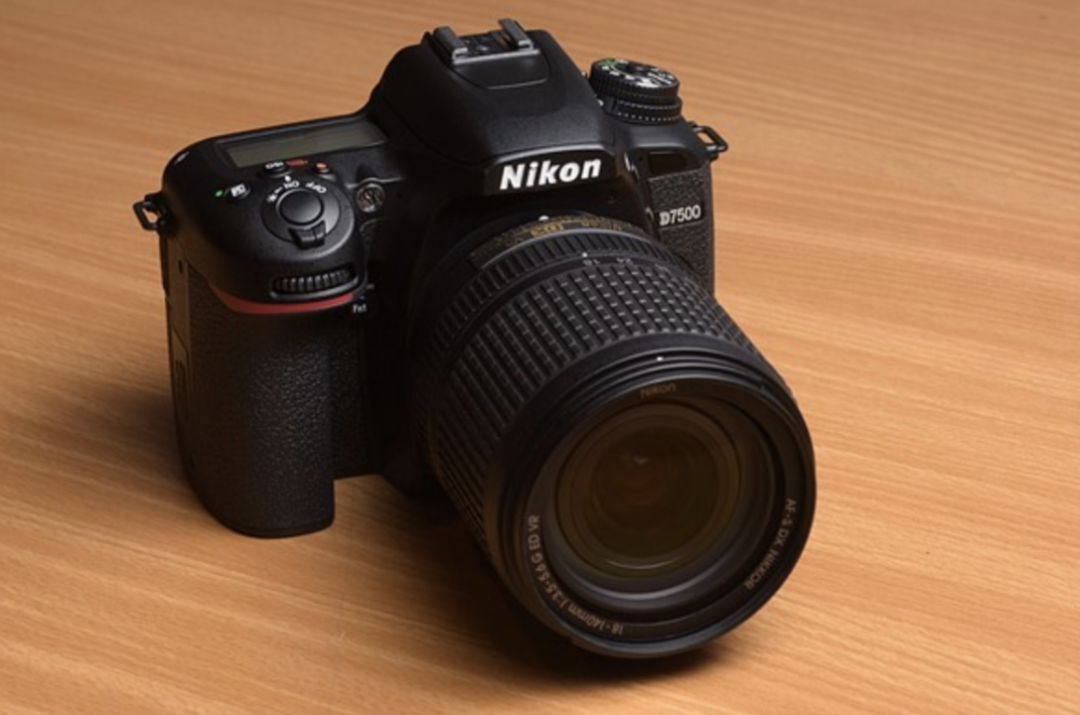 魔法猪排行榜有些意外_索尼_尼康_机器