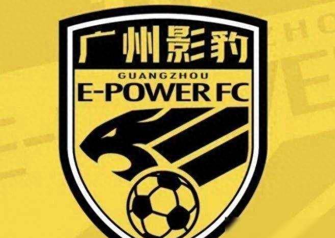 原创广州影豹命名费尽周折50个中性名筛选后最终选择广东广州豹