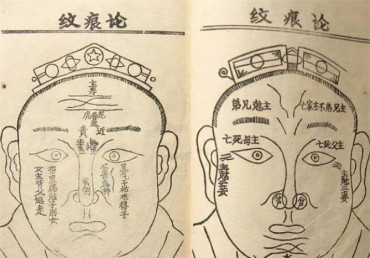 面相_骨骼_影响