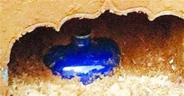 原创南京被盗古墓发现蓝色酒瓶专家鉴定后大喜估值1亿起
