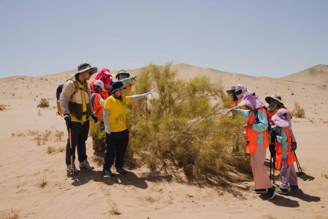成就未来青少年领袖第四届小行星探索敦煌沙漠亲子研学成长营火热报名