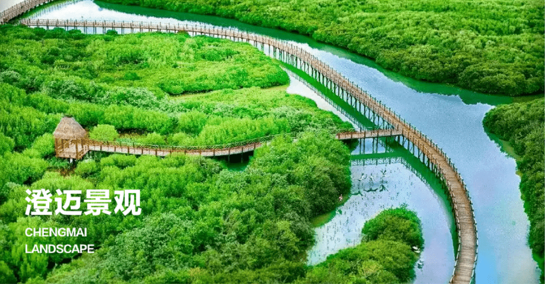 海南澄迈菏建海景湾最新楼盘电话地址交通配套