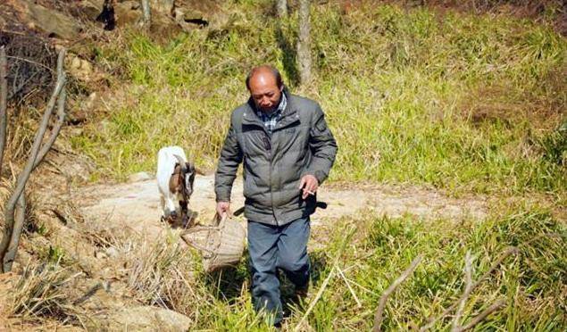 原创小伙隐居深山5年建一万多米围栏养羊看生活成什么样子