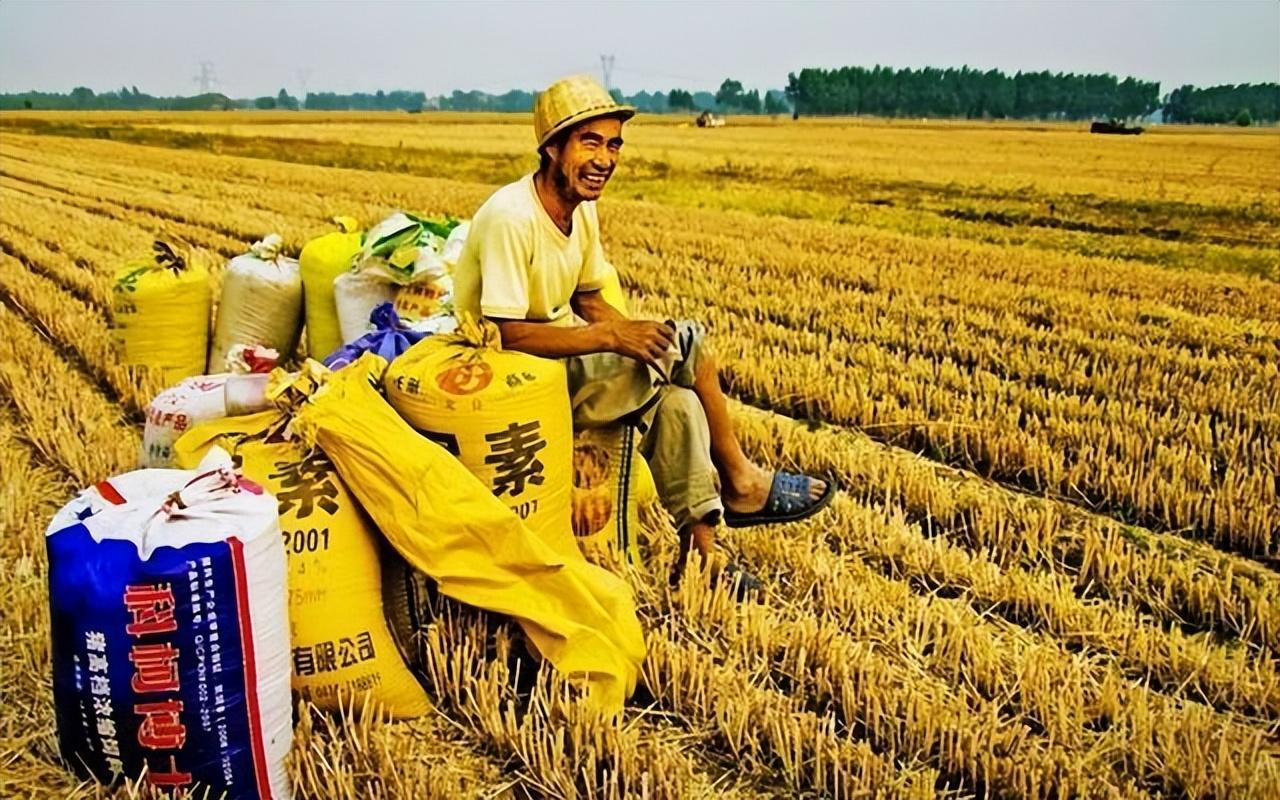 原创数说中国中国粮价高不高中国农民富不富我们一起比比看