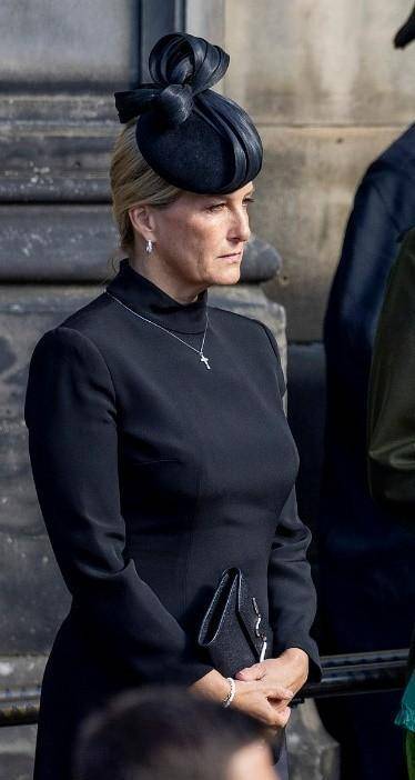 原创苏菲王妃长得7分像戴安娜对威廉很有爱卡米拉就是邪恶继母