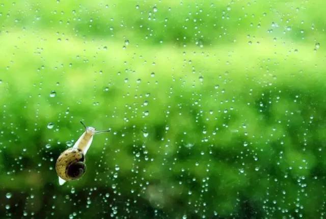 二月二龙抬头的来历及习俗