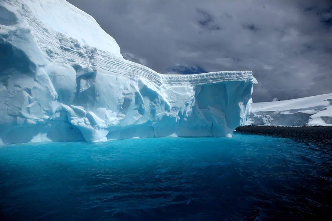 原创冰天雪地中的生存奇迹揭秘北极冬季的苦寒世界