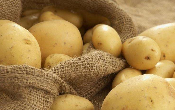 进行_备用_马铃薯