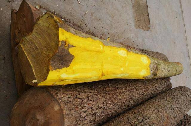 原创安徽曾经出土黄肠题凑谁知内有乾坤竟还藏着200多件文物