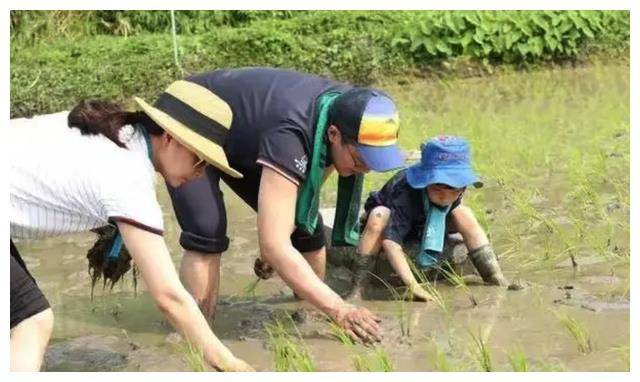 郭晶晶16亿豪宅客厅曝光凌乱如鸡窝网友心疑
