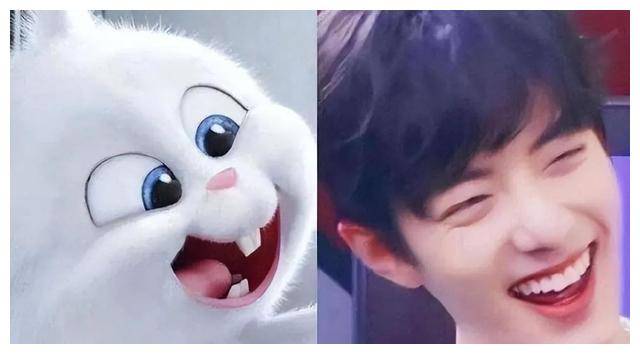 这5位男星撞脸动物,惊呆肖战王一博!孙红雷见笑不活_眼睛_网友_兔子