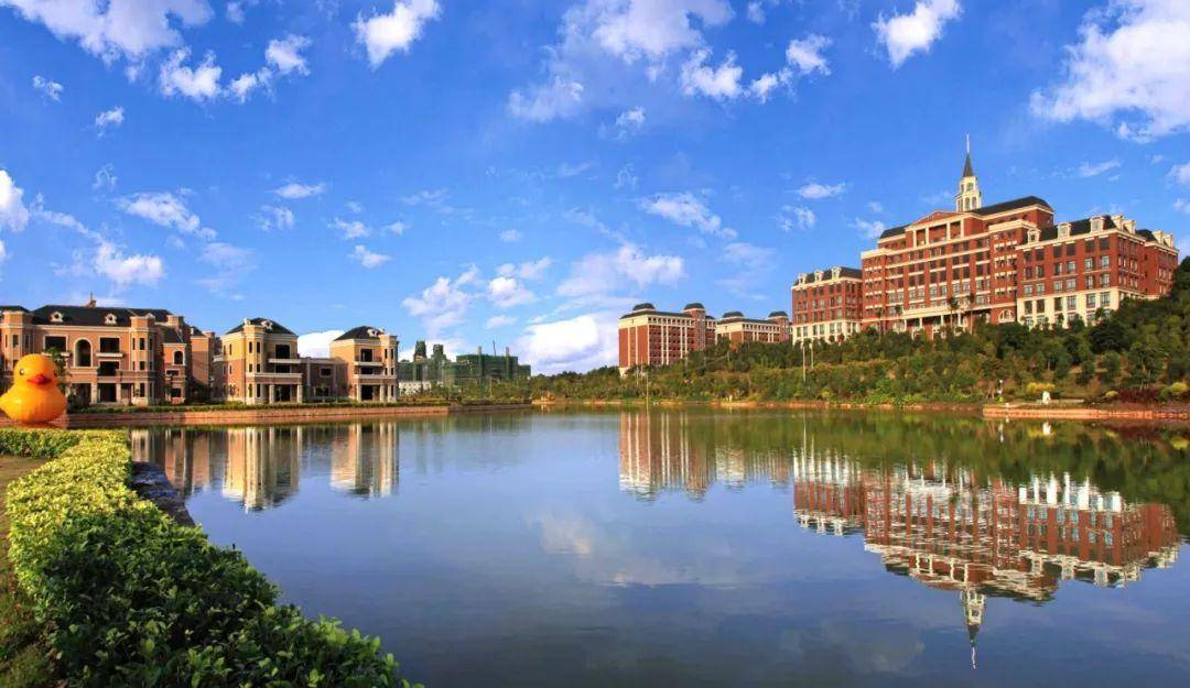 13928广州华立科技职业学院志愿填报攻略直播预告