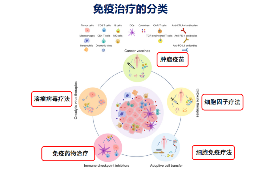 原创免疫疗法疗效差异大还分不清免疫细胞治疗此双剑合璧疾病控制率