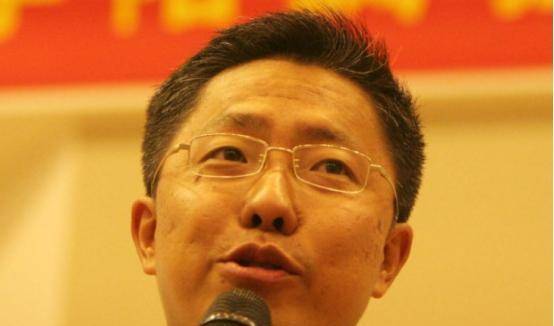 原创李阳疯狂英语的背后是对妻子10年的家暴和他失败的成功学