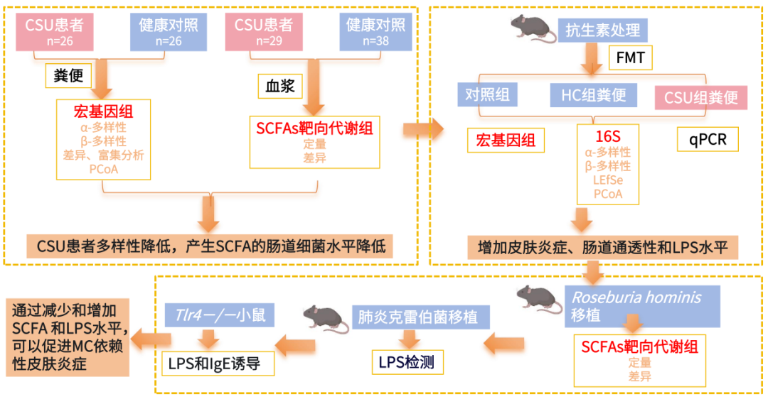 研究_腸道_技術