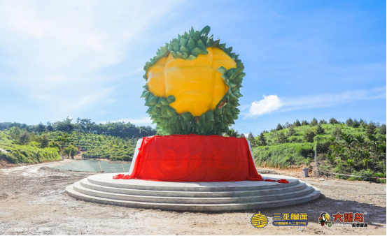 海南万亩树熟国产榴莲海南牌榴莲品质化发展之道