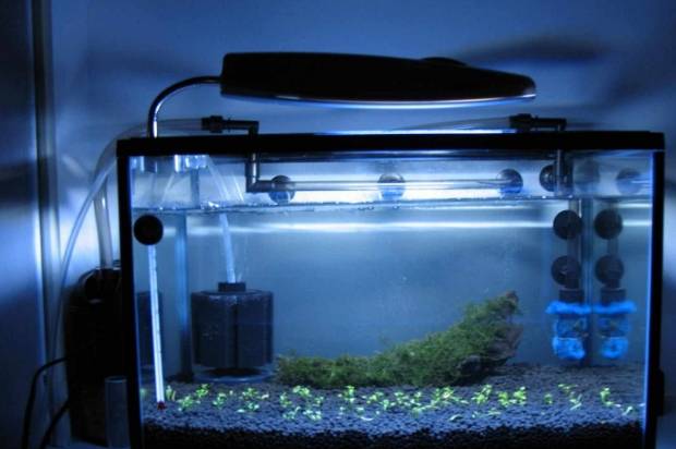 形式的鱼缸过滤,它的基本原理都是想办法让水体经过更多的过滤器材