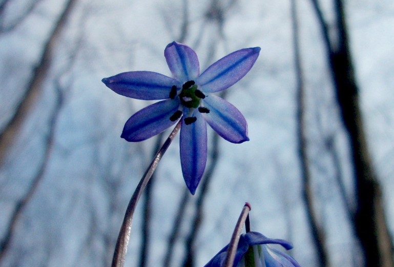 原创脑筋急转弯小明天天吃口香糖可别人还说他口臭这是为什么