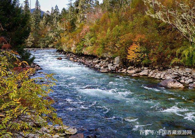南伊沟周边景点(1),南伊珞巴民族乡米林县的南伊珞巴民族乡,有着南伊