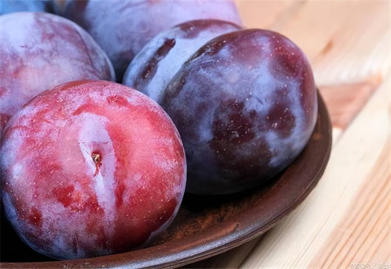 原创为啥西梅和李子一个味西梅是李子吗西梅布朗和李子有啥区别