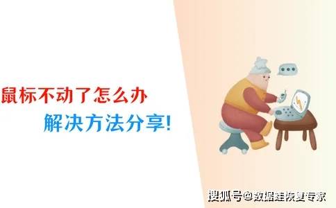 滑鼠狡蛛属了咋办？4招帮你补救！