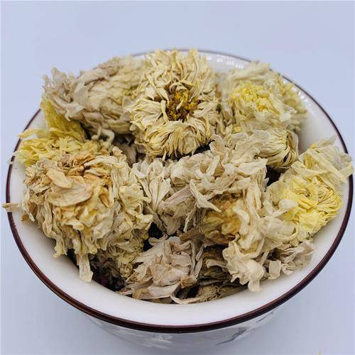 菊花草本之宝药用之源