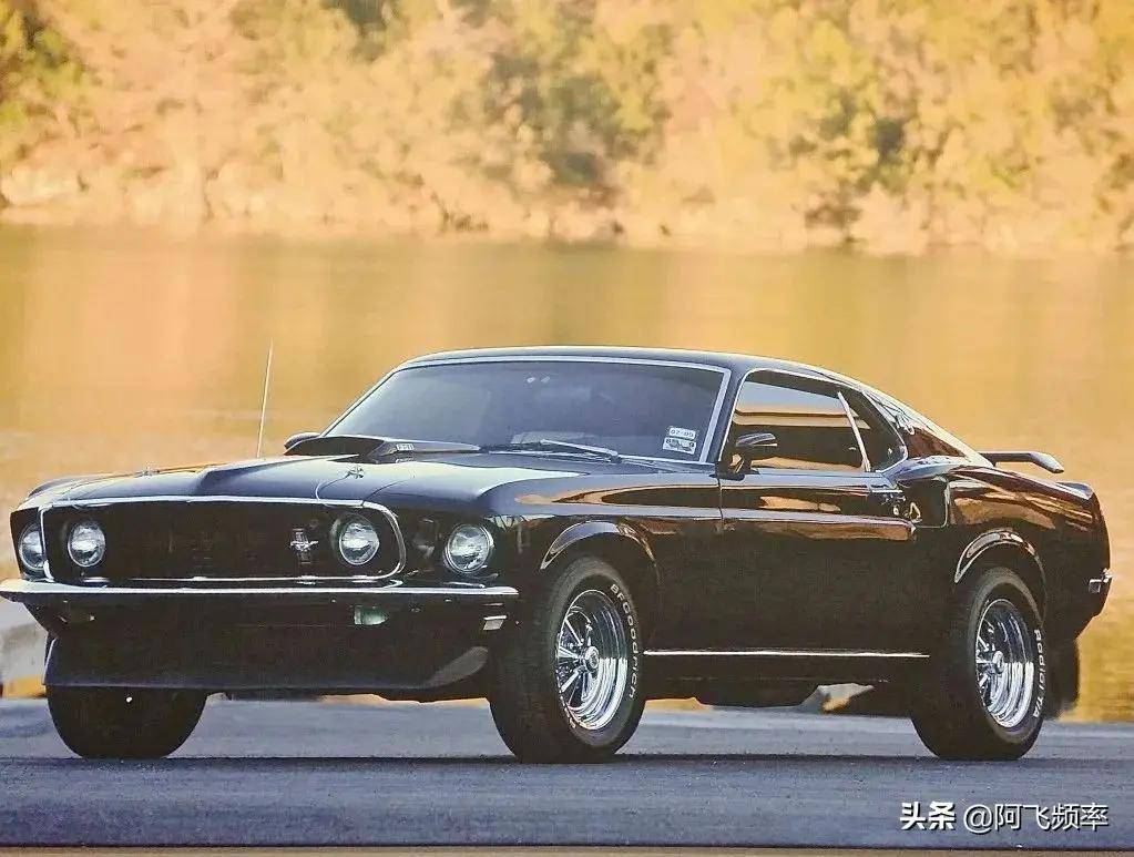 废弃谷仓发现罕见 1970年福特mustang mach 1特别版_搜狐汽车_搜狐网