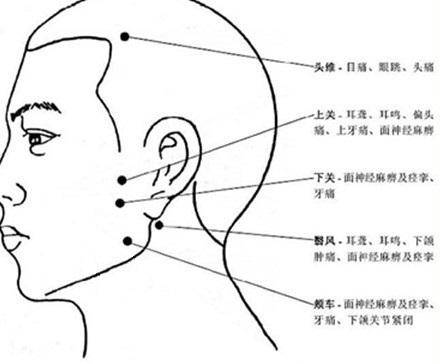 前额七条经络图图片