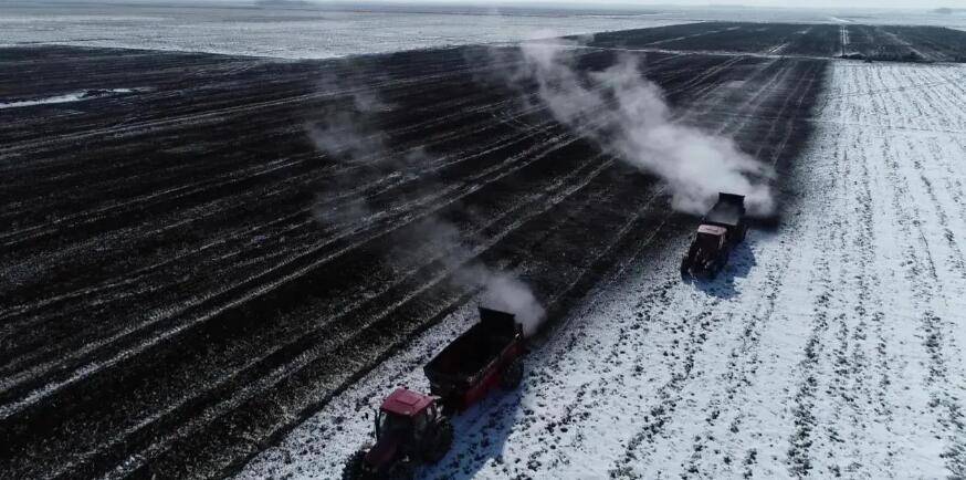 黑龙江富锦市守护好耕地中的大熊猫为丰收筑基
