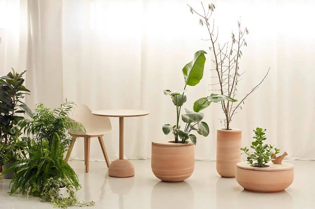 100例2024潘通年度代表色产品案例图