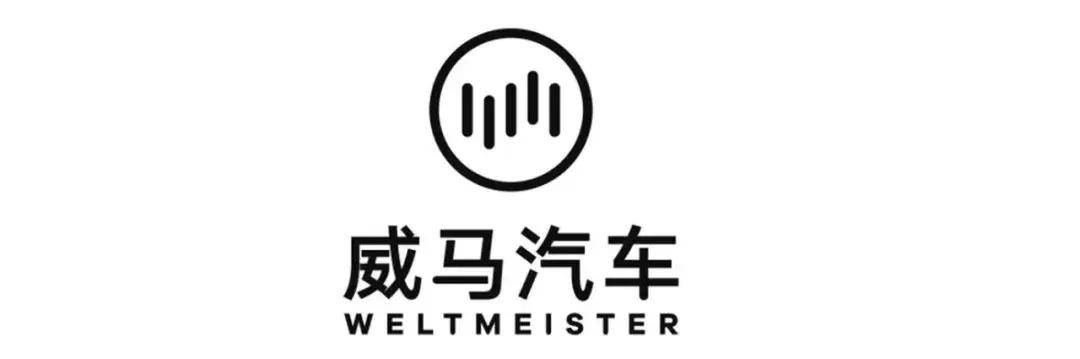 扶不上墙的众泰汽车,还是没能等来他的"白武士"_搜狐汽车_搜狐网