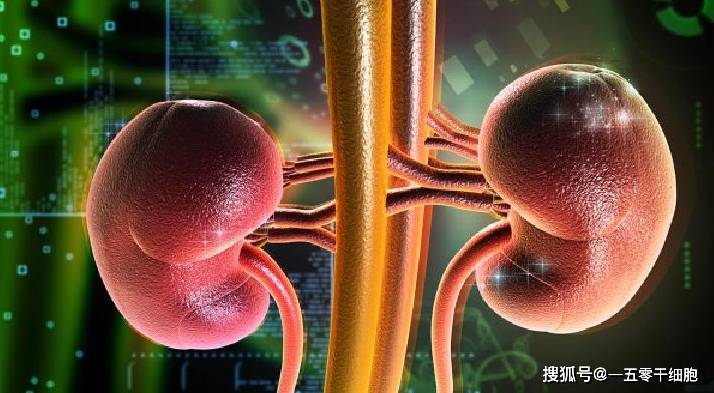 干细胞移植治疗难治性狼疮性肾炎9例i期临床试验