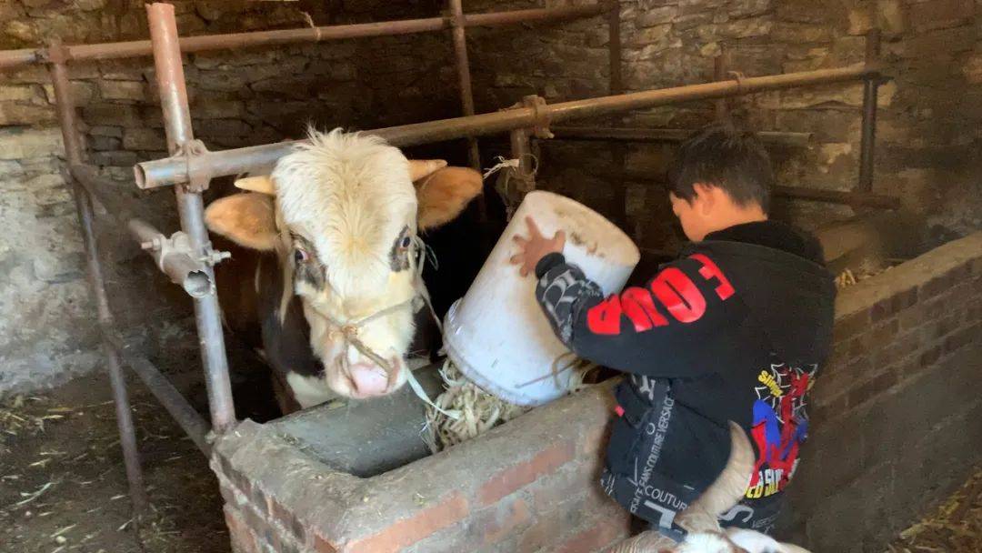 原创夫妻生了3个孩子原本生活得和和美美却被一场车祸毁了