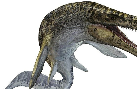 海洋里最凶猛的恐龙,恐龙时期的海洋霸主你都知道吗?_动物_生活_蛇颈