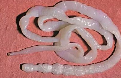 原创女人为了变漂亮究竟有多丧心病狂