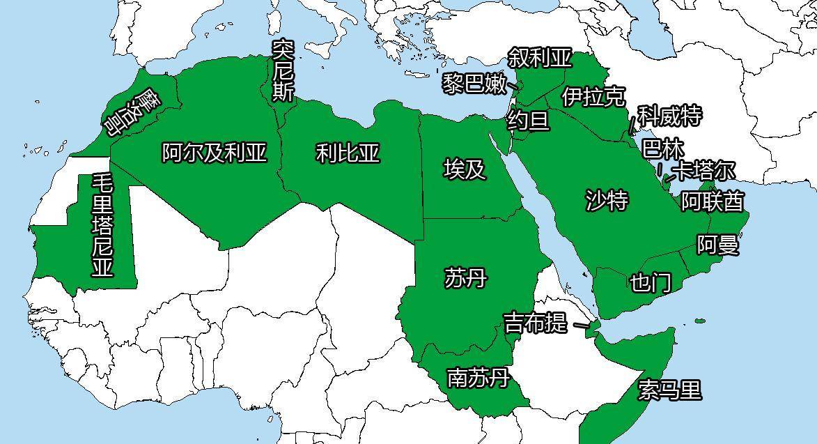 阿拉伯人宗教相近,却为何无法统一?学者:本就不是一个民族_国家_帝国_