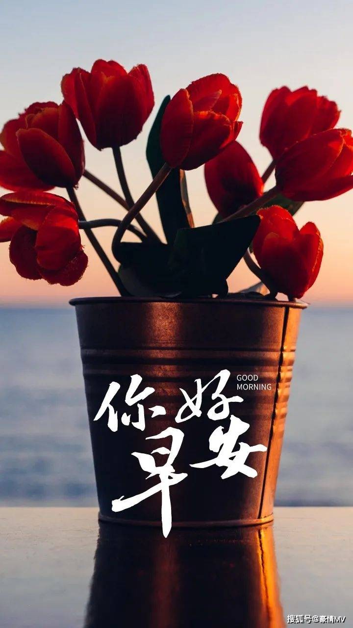 早安,新的一天又开始了!愿阳光洒满你的心灵,带给你无尽的温暖和希望