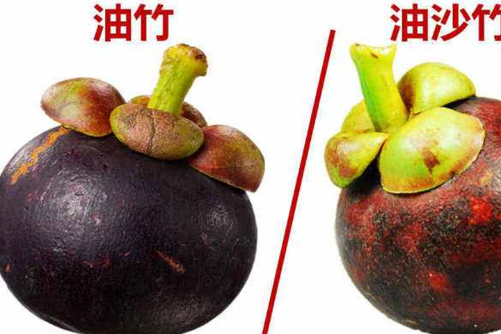 原创山竹不是越大越好2个挑选小技巧很重要快来涨知识