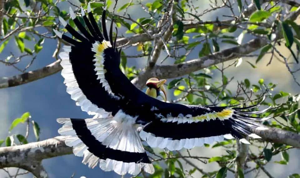 美国士兵使用安装在河船上的火焰喷射器 m10-8 向岸边射击.