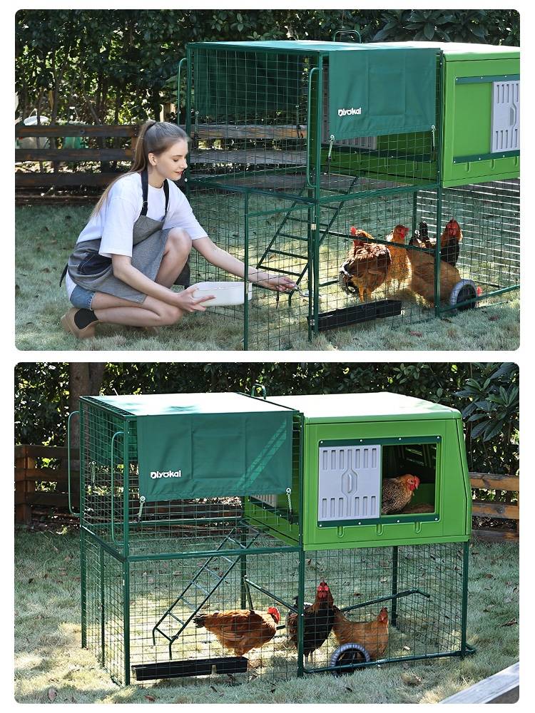 这样的鸡笼你肯定没见过网友点评活得不如一只鸡