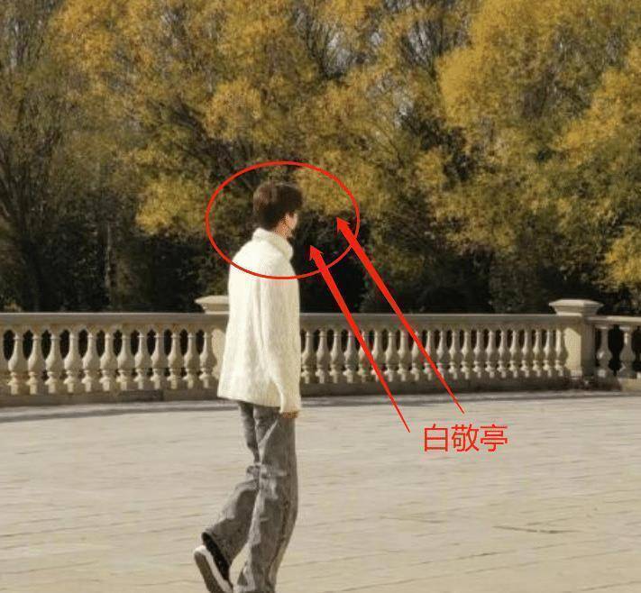 节目_白敬亭_观众们