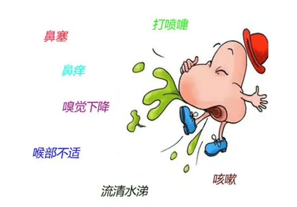 鼻炎都是怎么引起的又该怎样预防