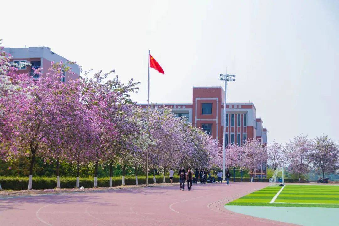 广州华商职业学院风景图片