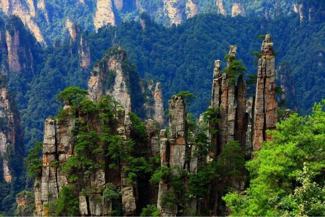 张家界报团吃住行安排明细,避坑请看这篇_天门_景点_景区