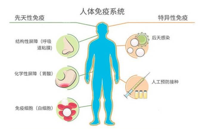 免疫力下降的表现有哪些
