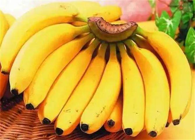 原创香蕉是寒性水果还是温性水果多吃香蕉有哪些好处