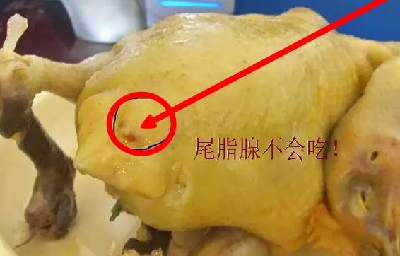它是台湾名吃是鸡身上最好吃的部位可惜所有人都将它扔了